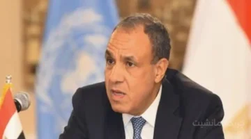 تحرك مصري جديد.. القاهرة تستضيف اجتماعات بين وفدين إسرائيلي وفلسطيني 1